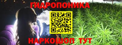 стаф Донецк