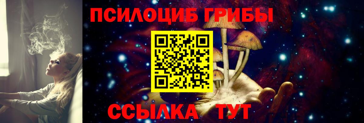 Псилоцибиновые грибы Psilocybe  Вход с VPN  Менделеевск 