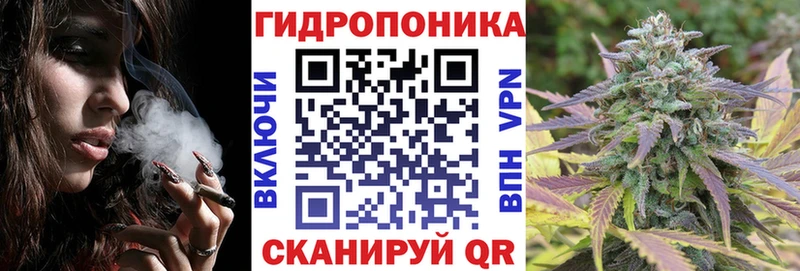 Конопля OG Kush Менделеевск