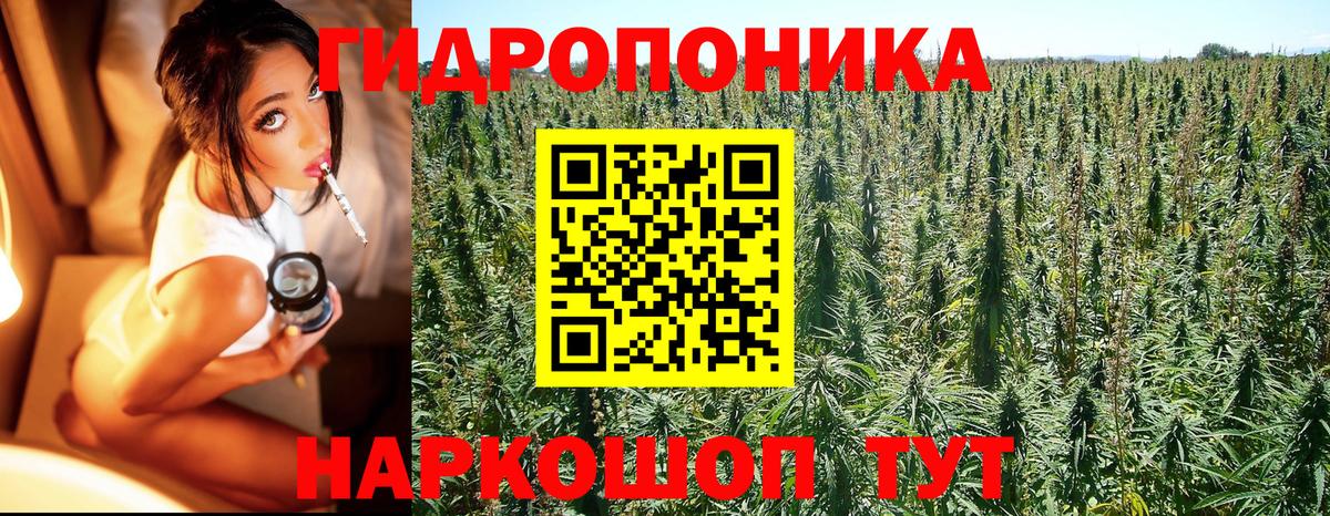 Канабис Ganja Менделеевск